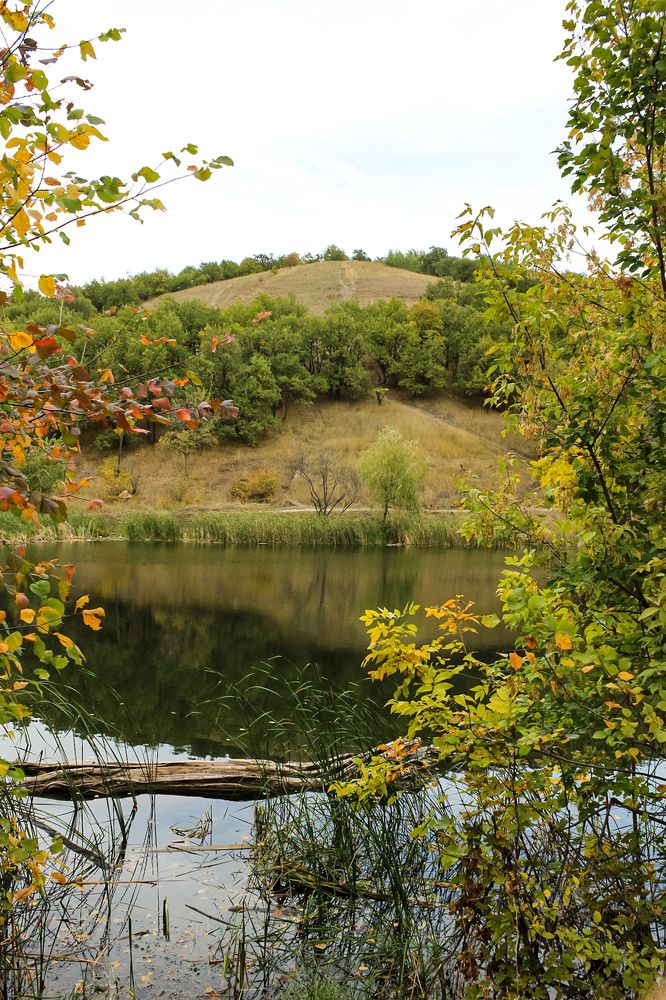 Photograph by Эльвира Куликова