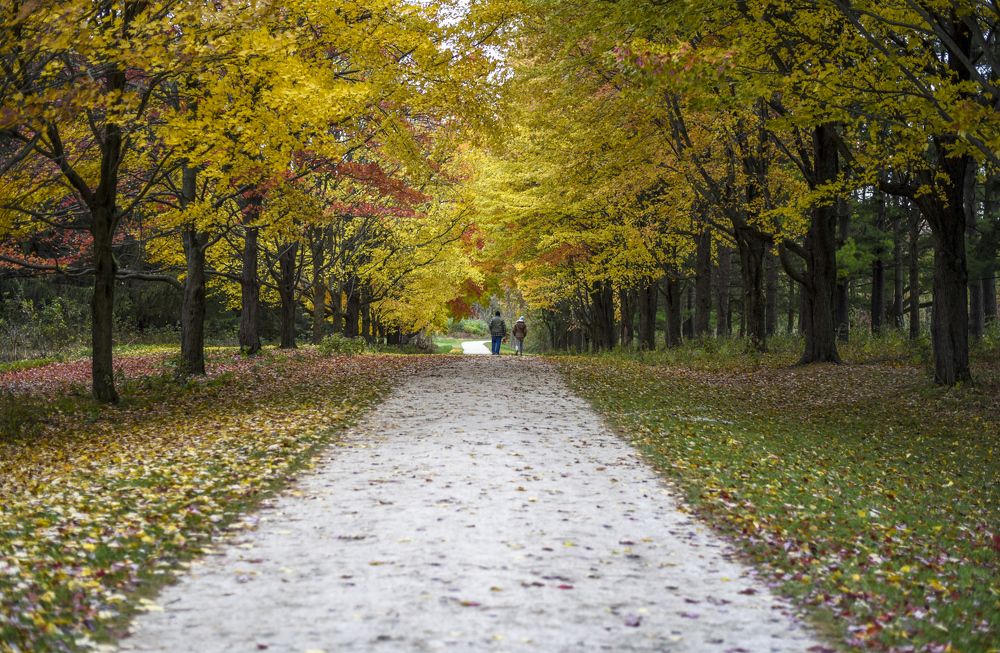 Фотография автора Sunny Saha Pramanick