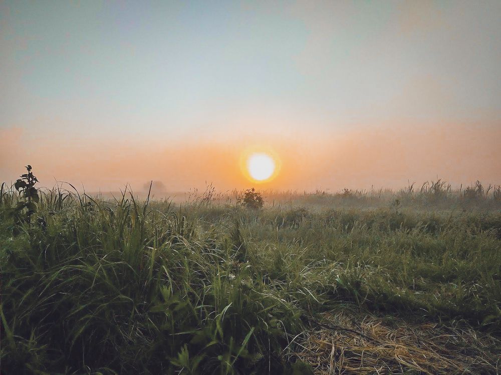 Photograph by Наташа Черепенина