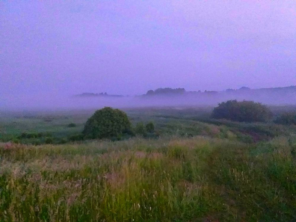 Photograph by Наташа Черепенина