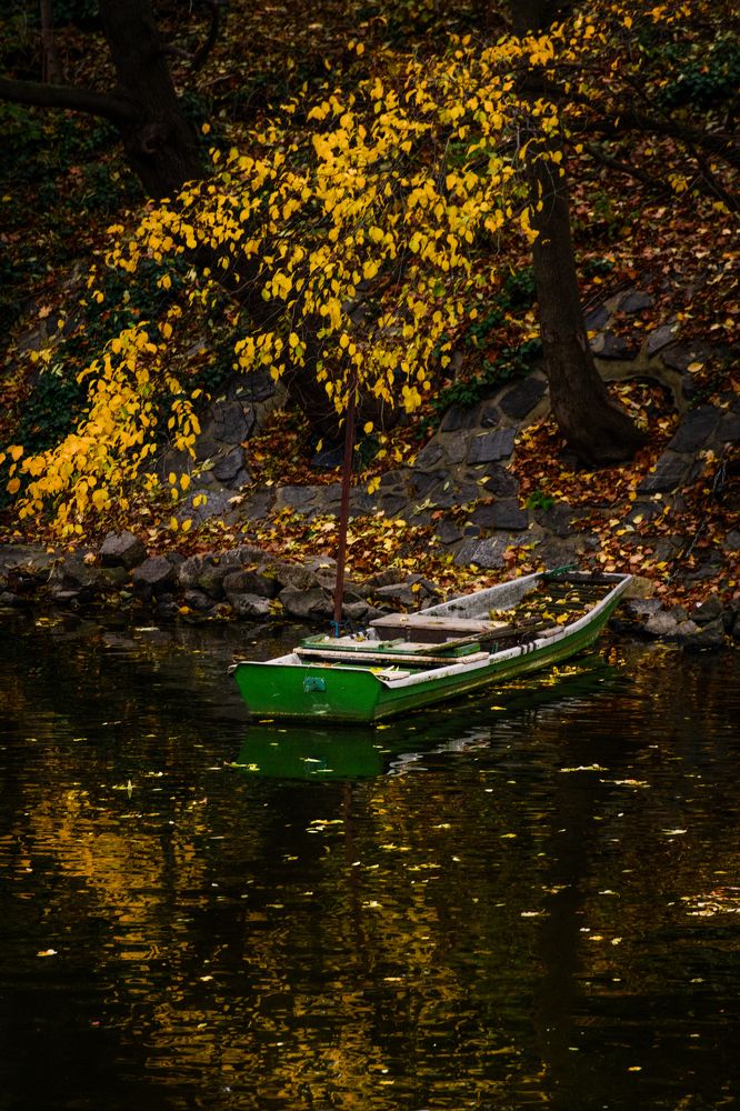 Фотография автора Александра Елагина