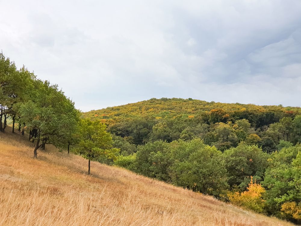 Photograph by Эльвира Куликова