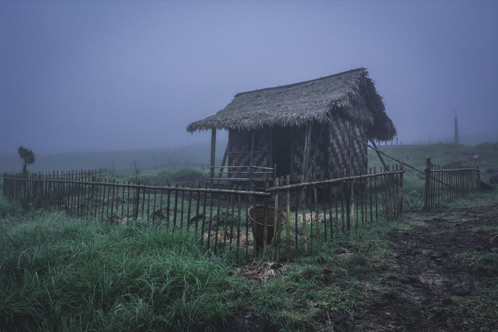 Photograph by Dipanjan Chakraborty