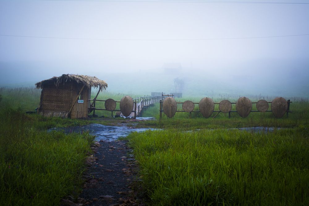 Photograph by Dipanjan Chakraborty