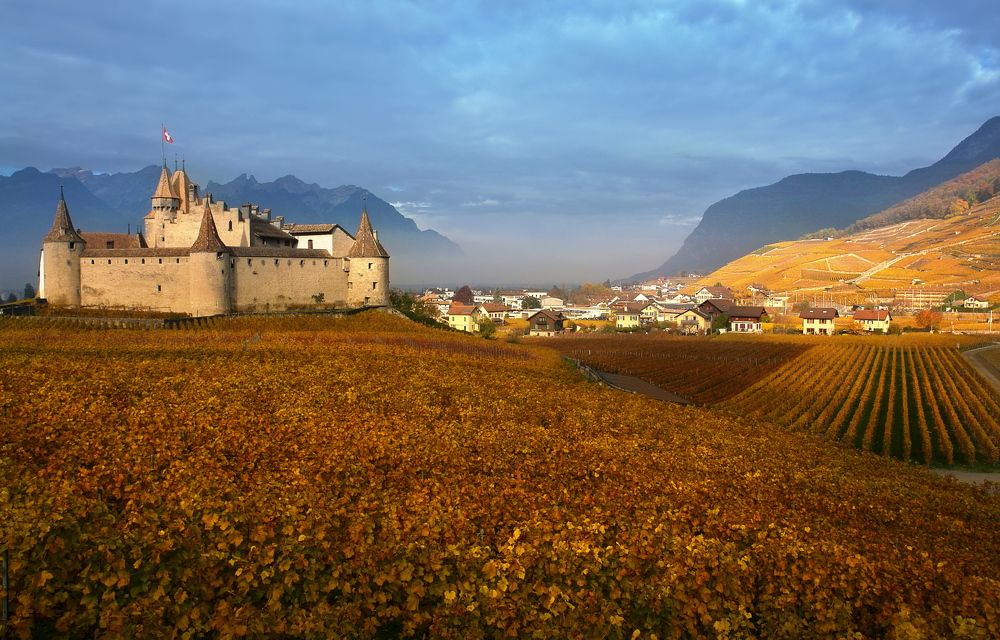 Photograph by Elena Wymann