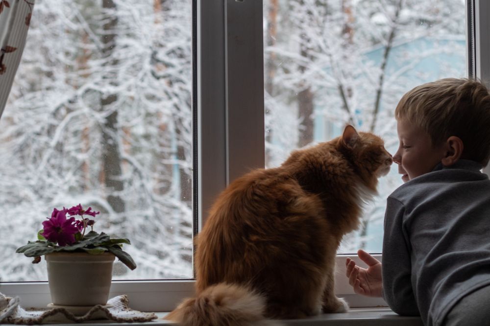 Photograph by Екатерина Андросова