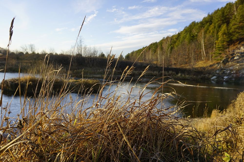 Photograph by Халуторных Мария