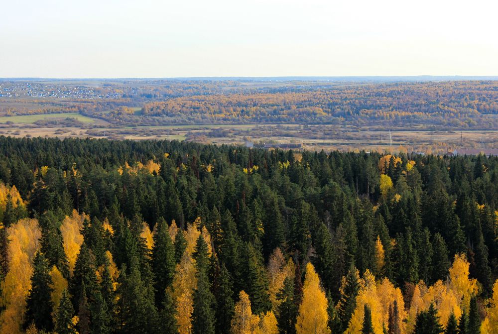 Photograph by Димитрий Осинцев