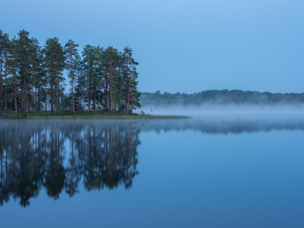 Photograph by Александр Устинов