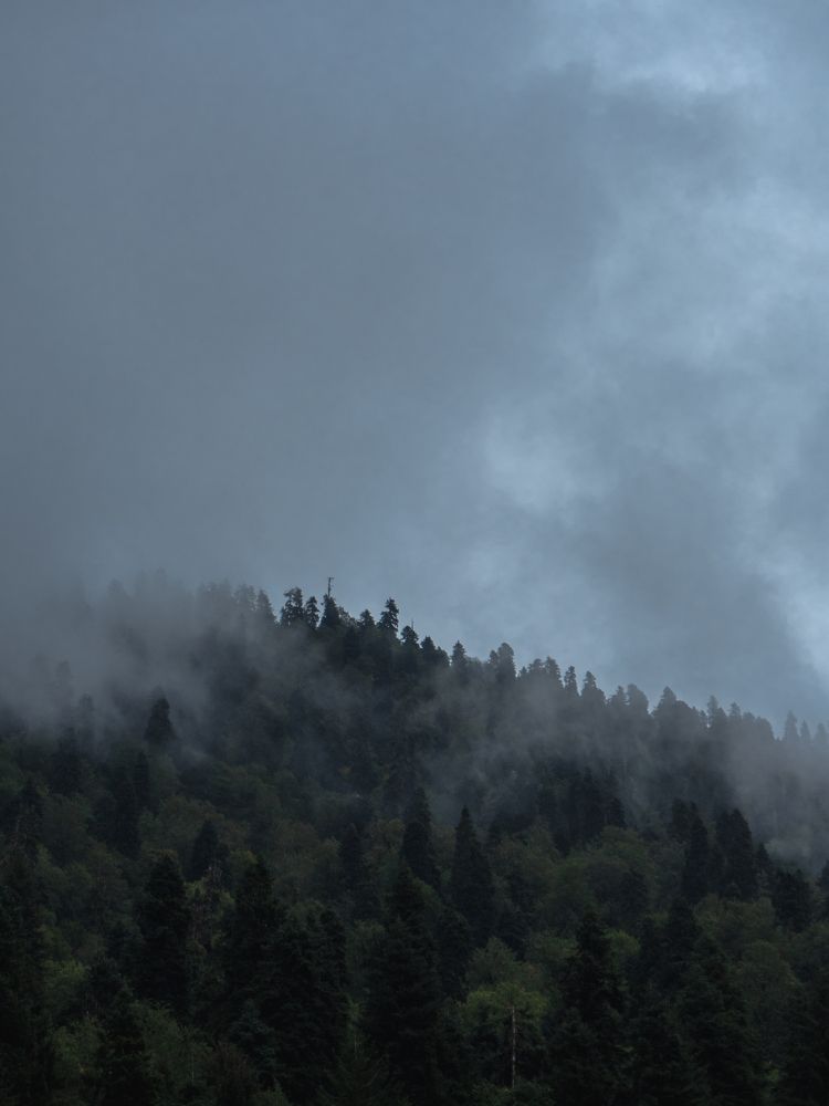 Photograph by Александр Устинов