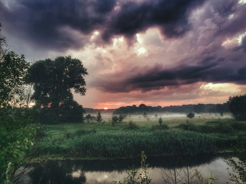 Photograph by Victoriia