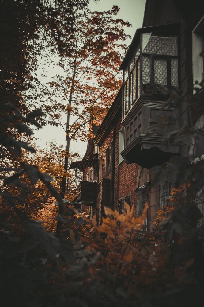 Фотография автора Анна Котлова