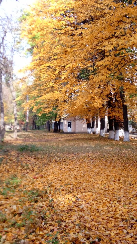 Фотография автора Николай Замковой