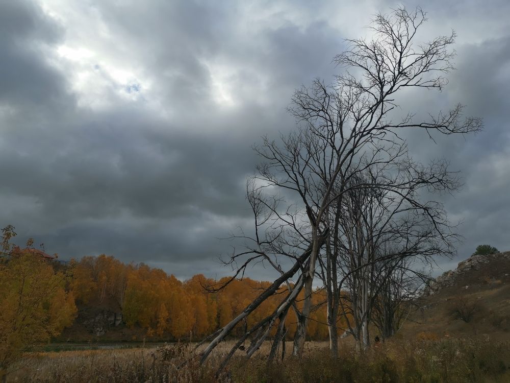 Photograph by Ростислав