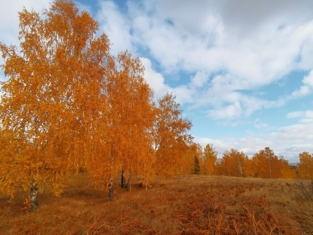 Photograph by Ростислав