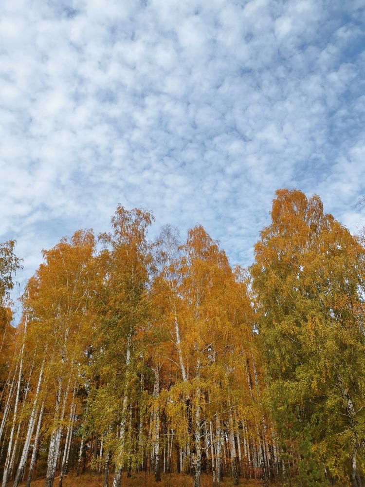 Photograph by Ростислав