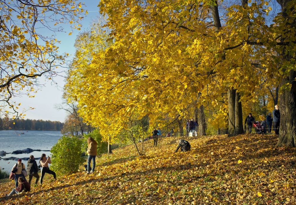 Photograph by Н. К.