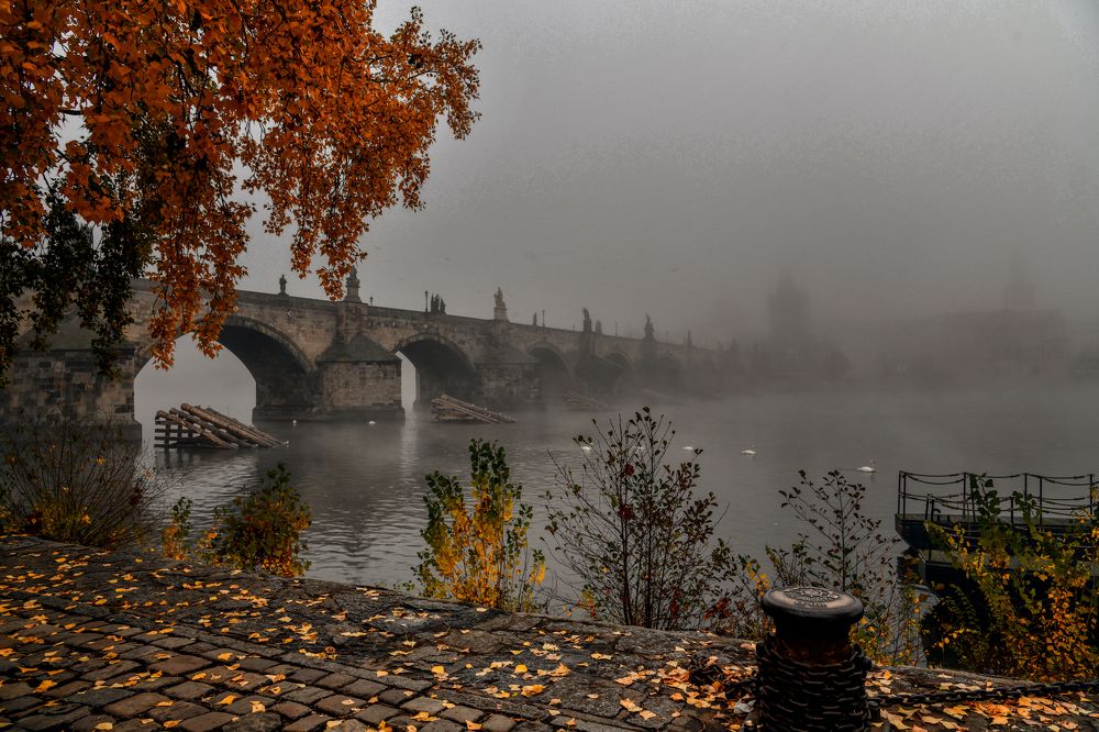 Фотография автора Александра Елагина