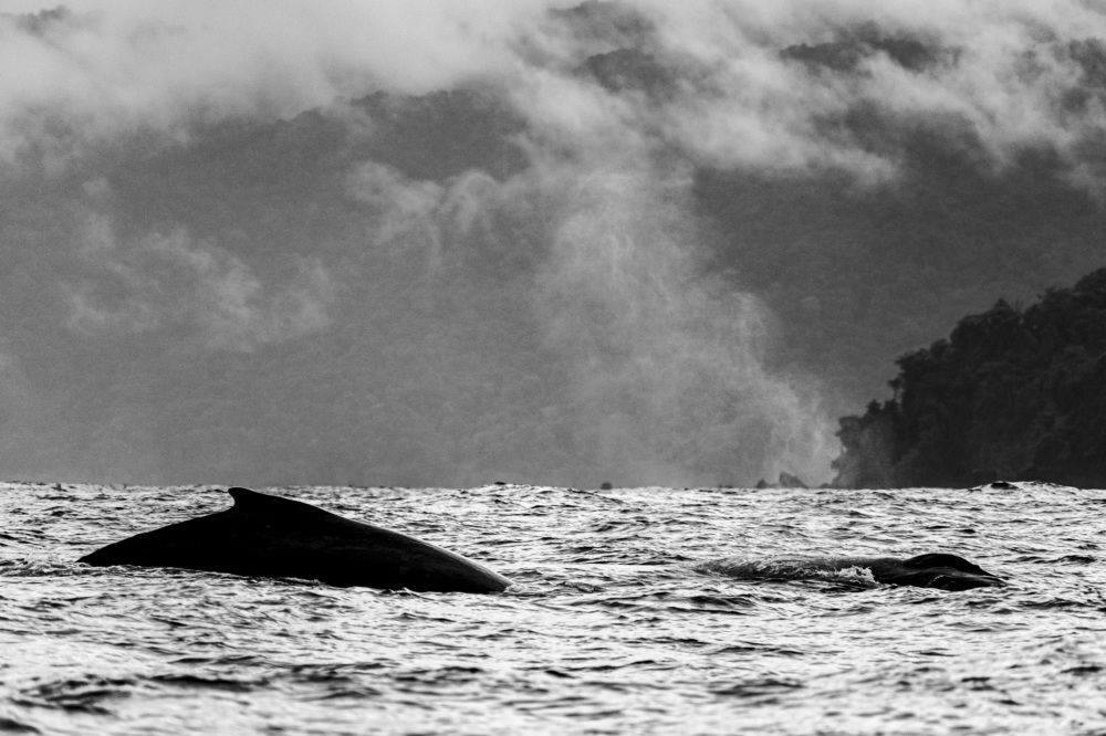 Photograph by Esteban Duque Mesa