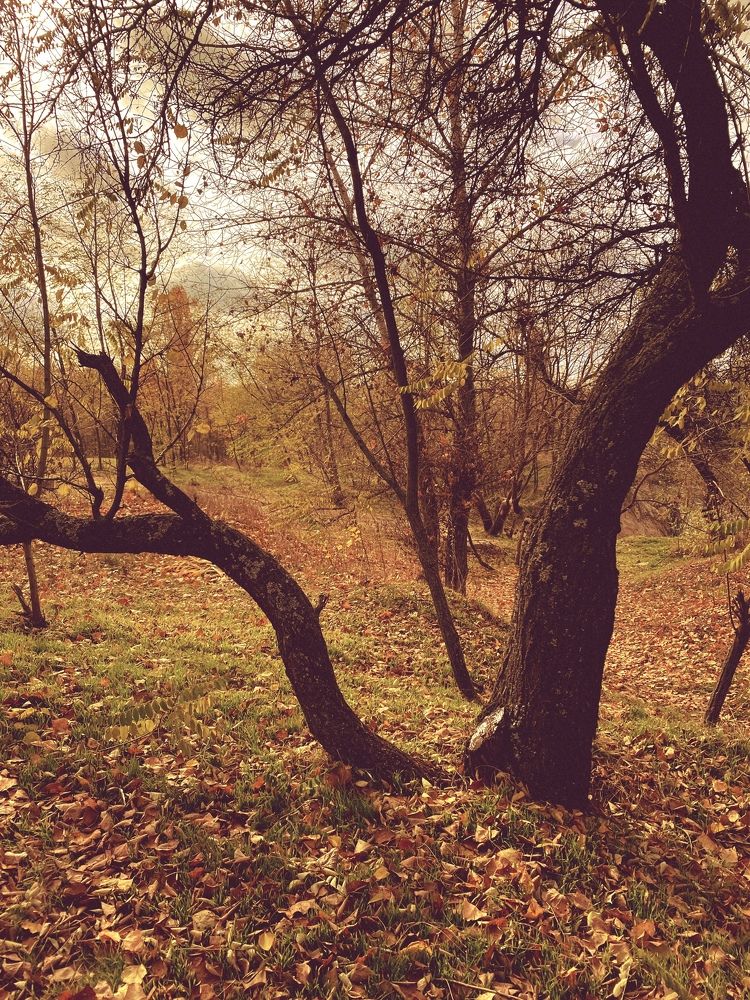 Photograph by Antonina Sokolenko