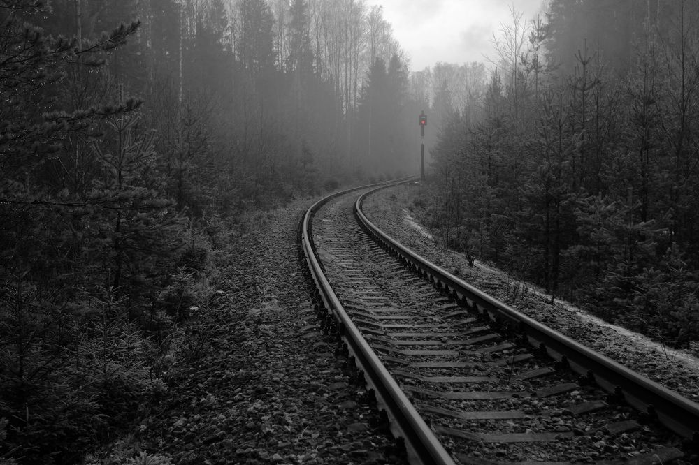 Photograph by Сергей Григорьев