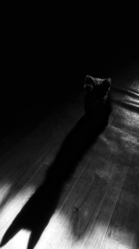 Photograph by Лада Филлипова