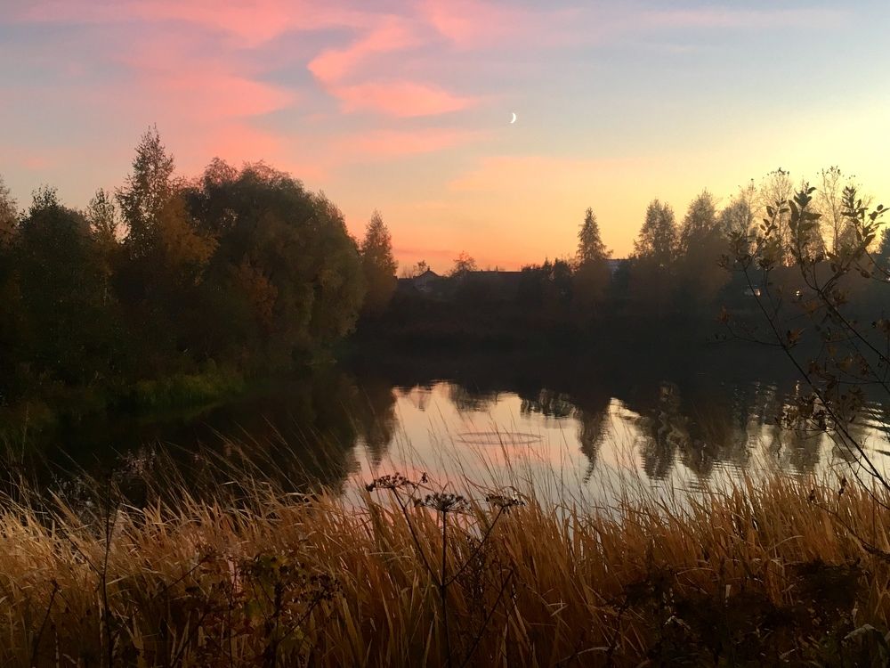 Фотография автора Ольга Горюнова