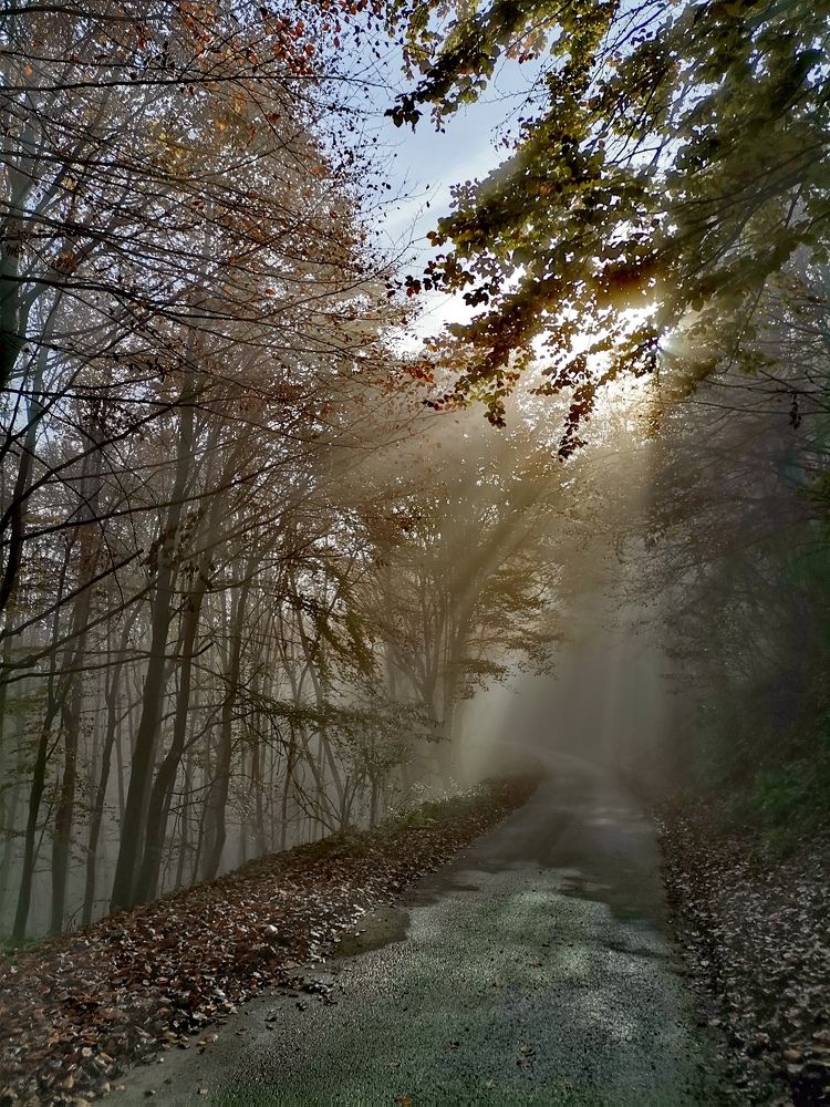 Photograph by Bernarda Gudelj