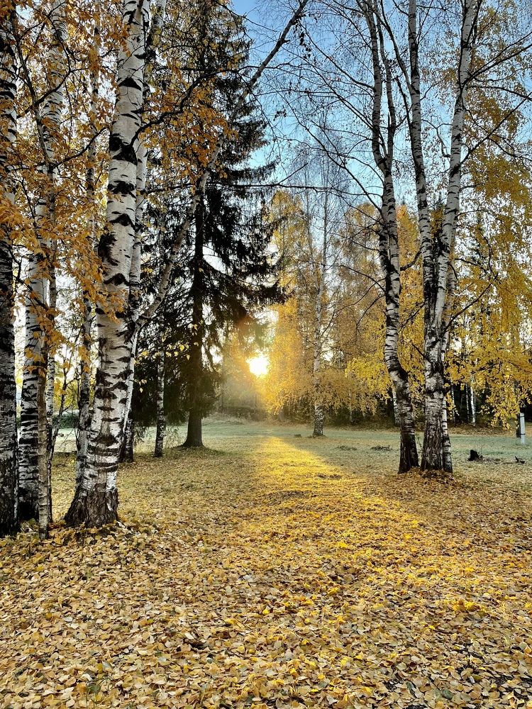 Photograph by Светлана Хохлова