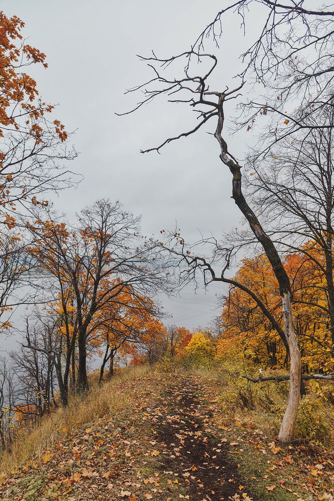 Фотография автора Даниил Мигунов