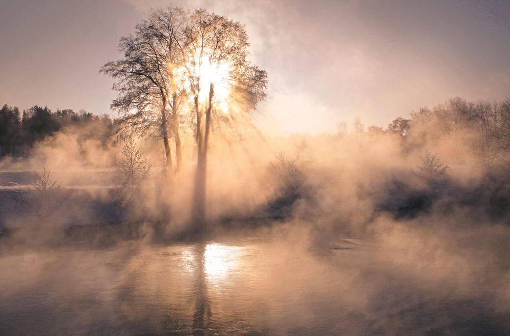 Photograph by Ольга Заболотская