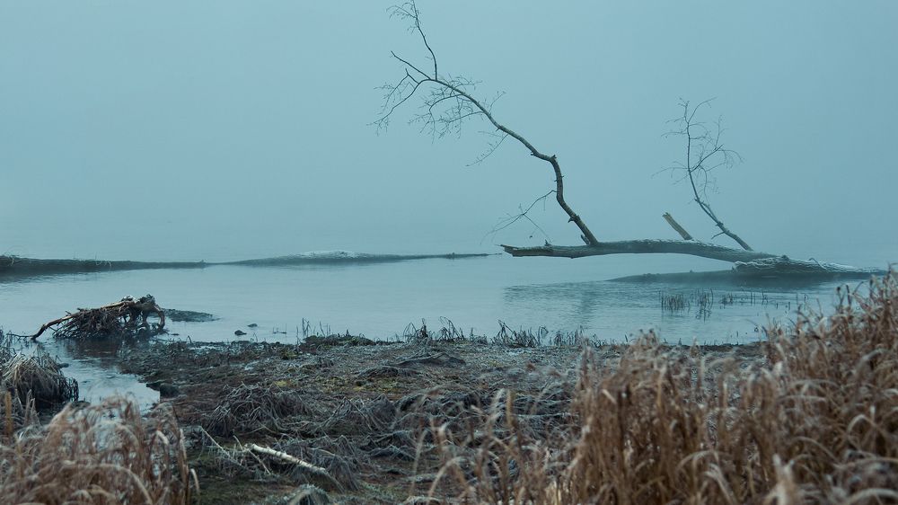 Фотография автора Даниил Мигунов