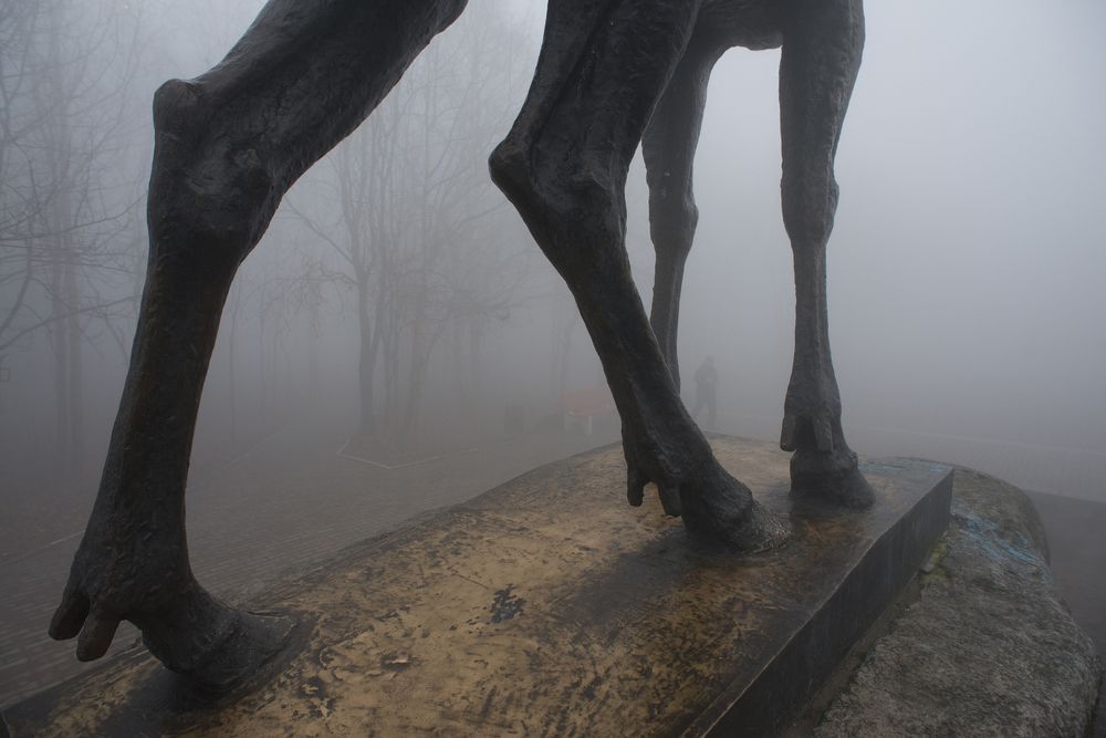 Photograph by Геннадий Субач