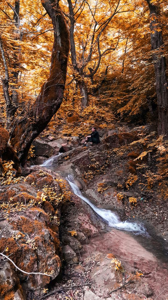 Photograph by Hosean Nasiri