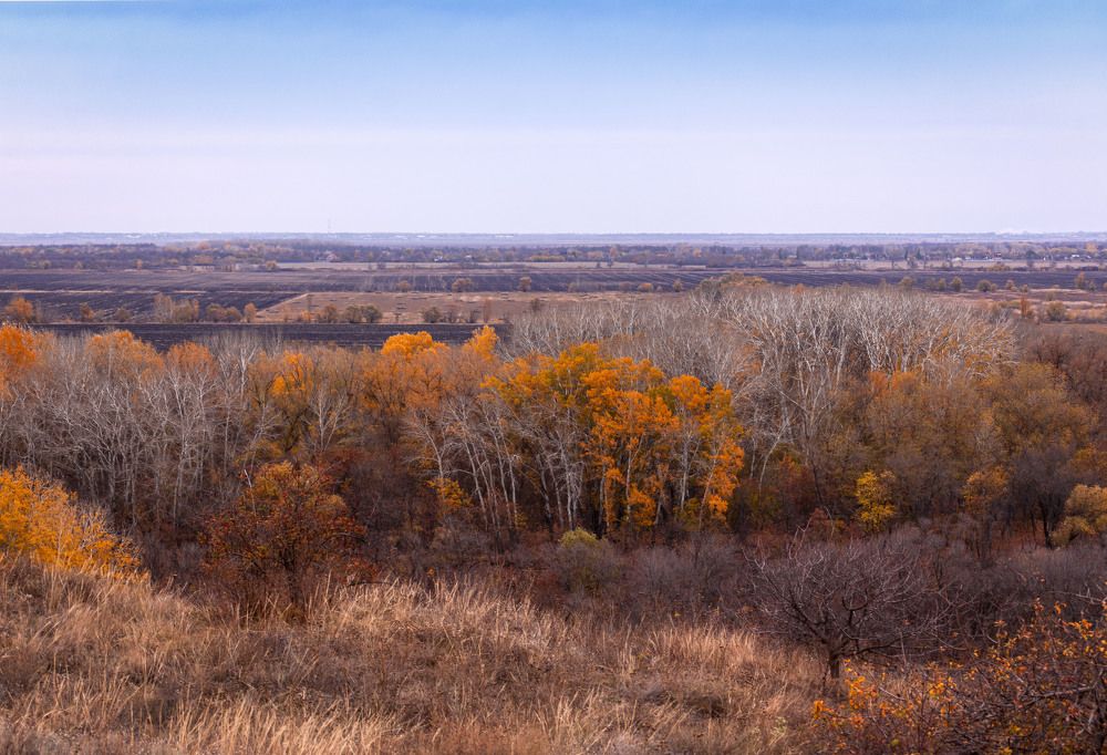 Photograph by Юлия Страданченкова
