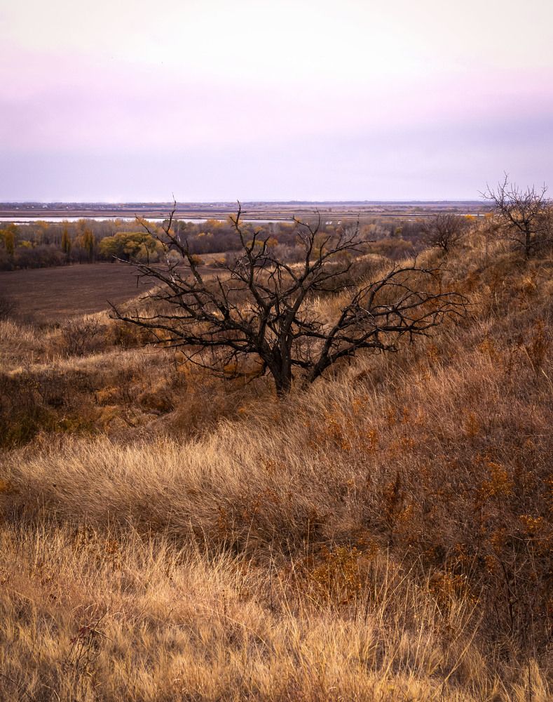 Photograph by Юлия Страданченкова