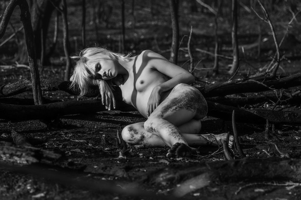 Фотография автора Даниил Мигунов