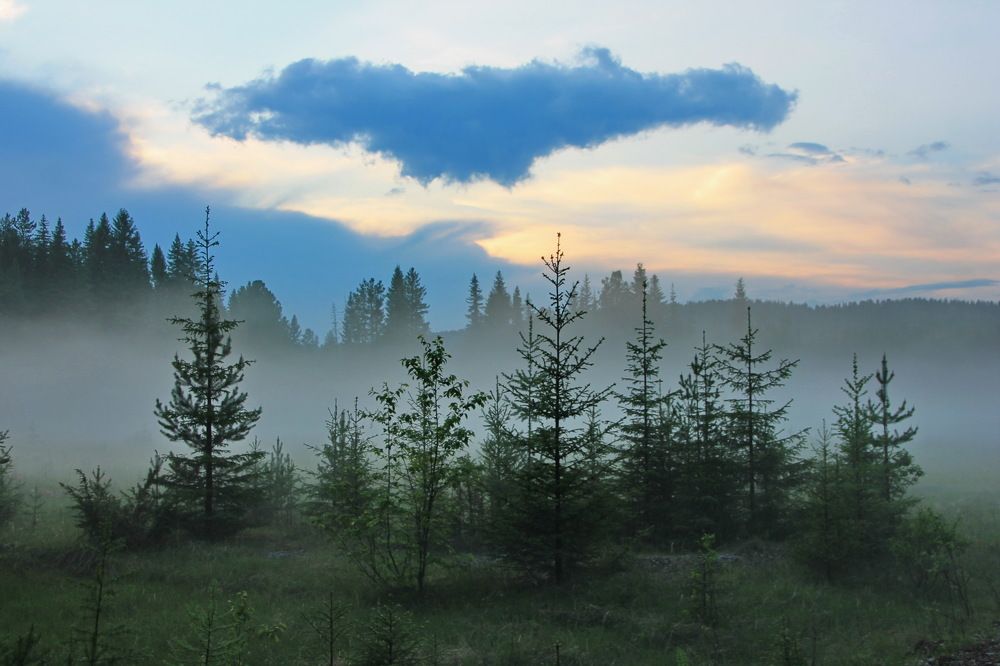 Photograph by Sergei Petrov