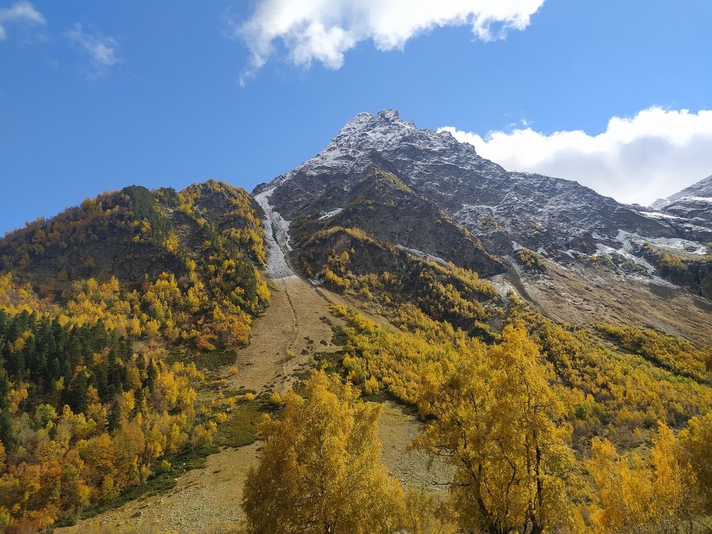 Фотография автора Алексей Самойлов