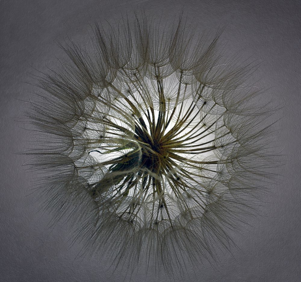 Photograph by Ольга Заболотская