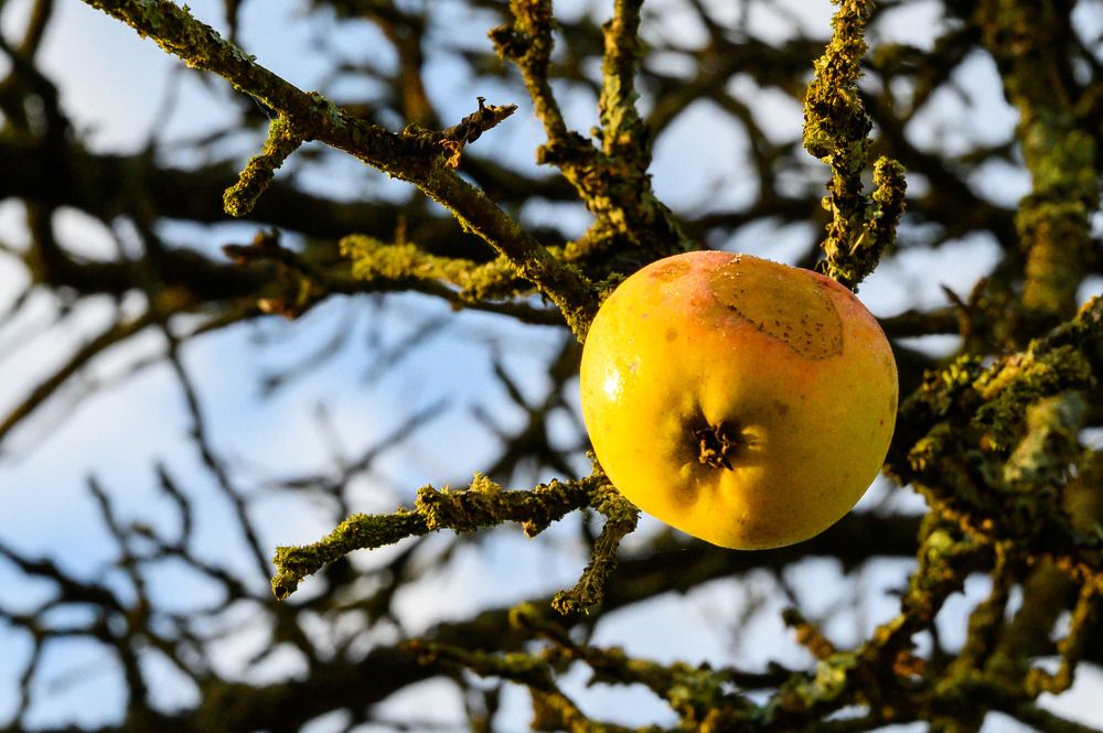 Photograph by Анжелика Хрусталева