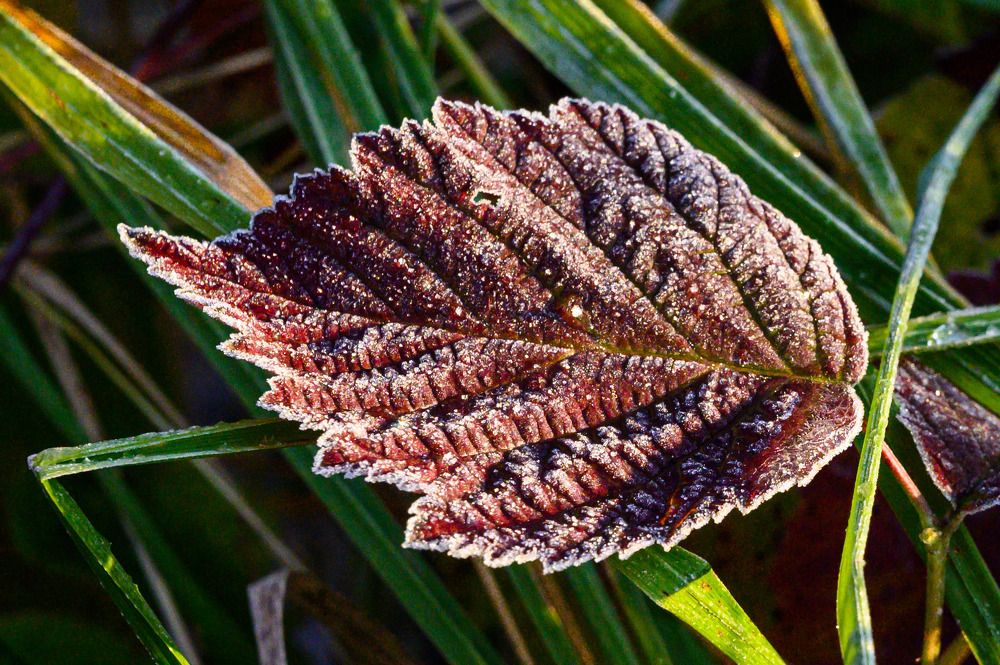 Photograph by Анжелика Хрусталева