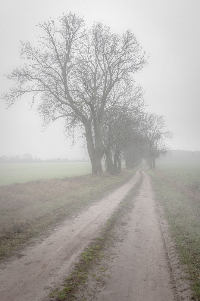 Photograph by Кондратюк Андрей