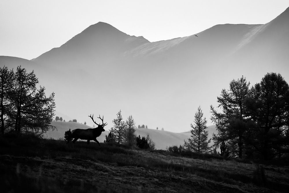 Photograph by  Евгений