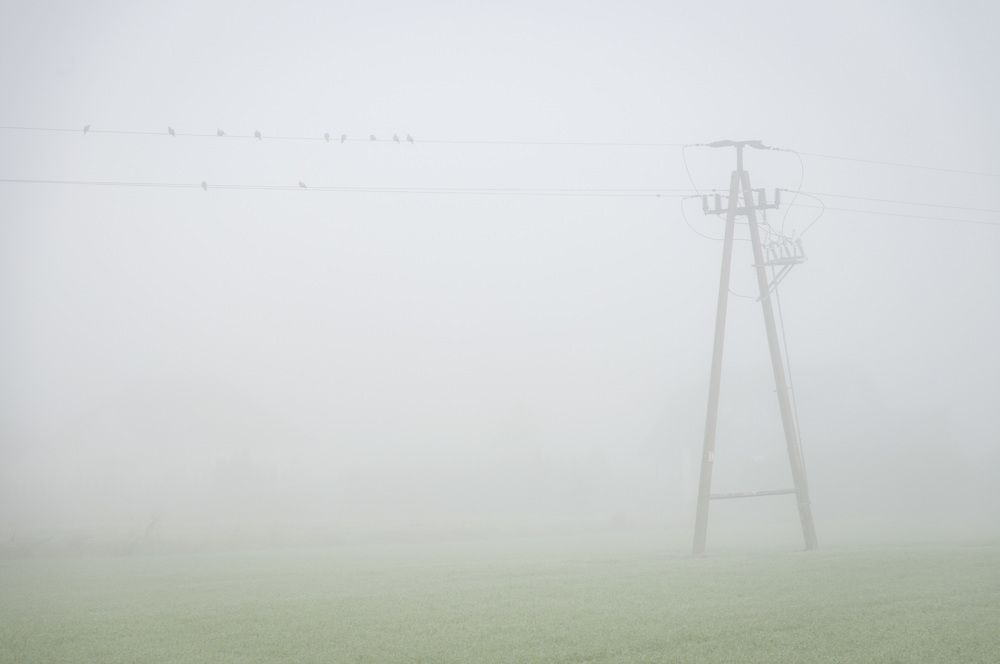 Photograph by Кондратюк Андрей