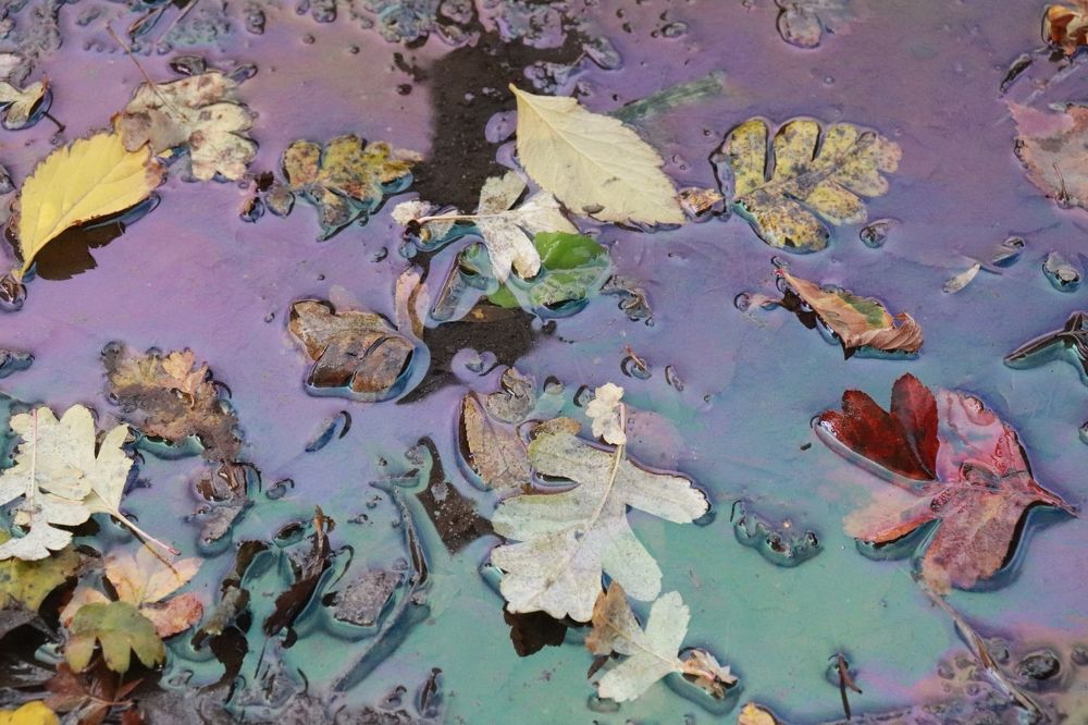 Цветовые разливы в осенней луже!