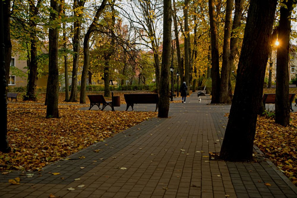 Photograph by Ольга Багрова