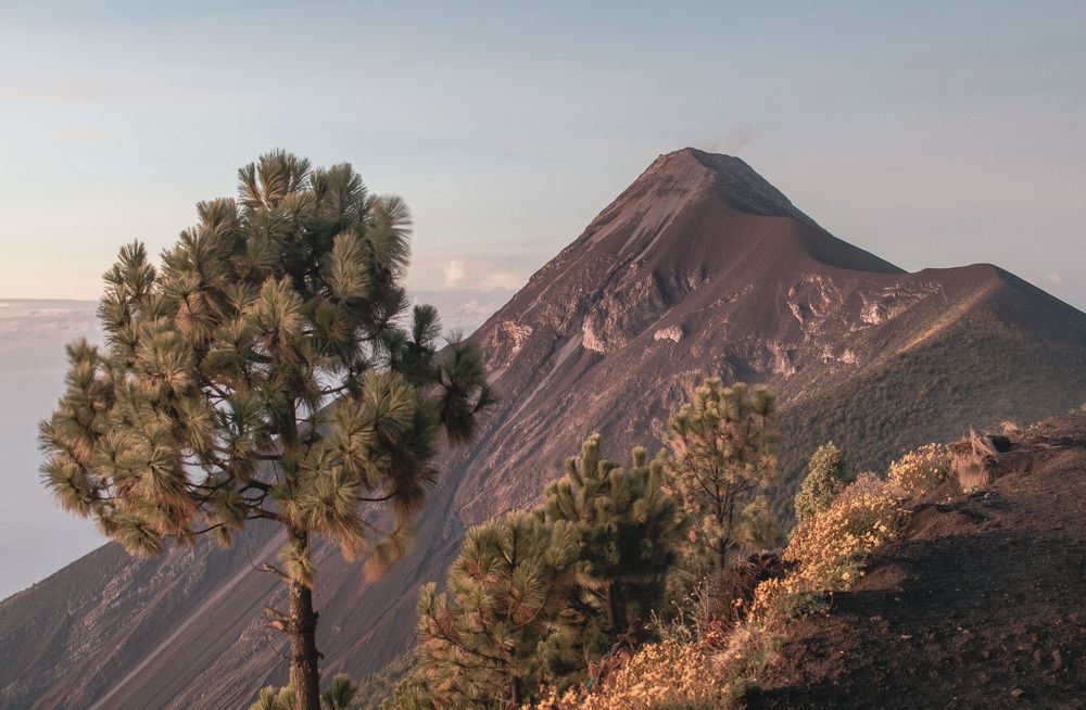 Фотография автора Willian willreyes