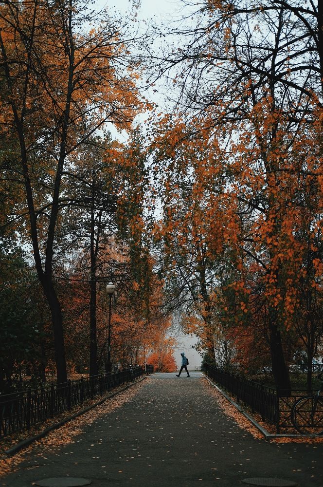 Photograph by Аида Фай