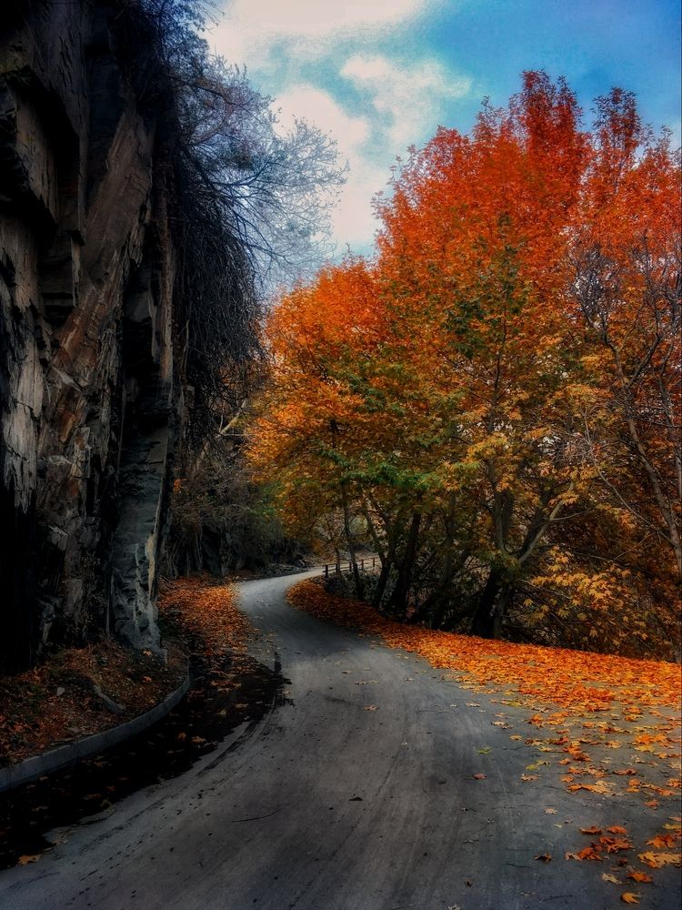 Autumn Road